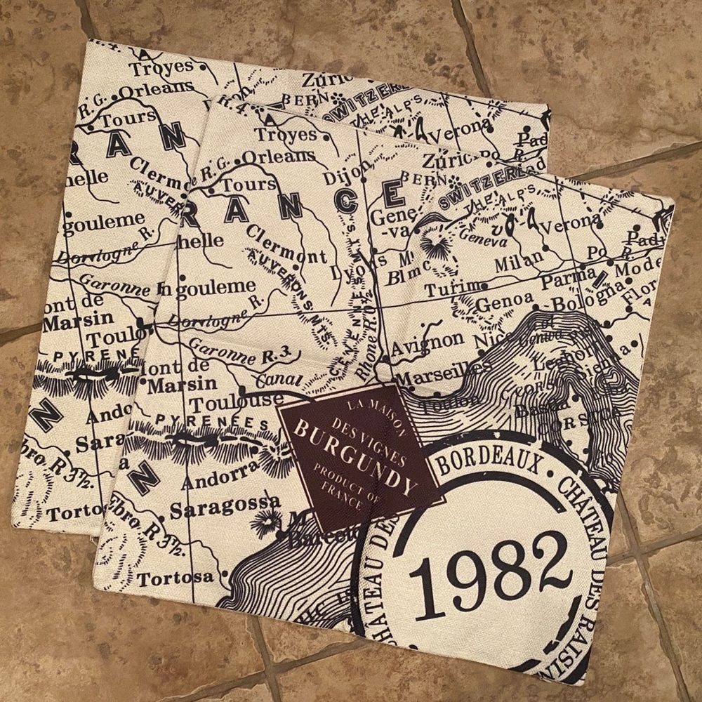 Two Canvas Pillow Covers